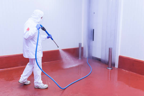 Best Fence Cleaning and Maintenance in Grain Valley, MO